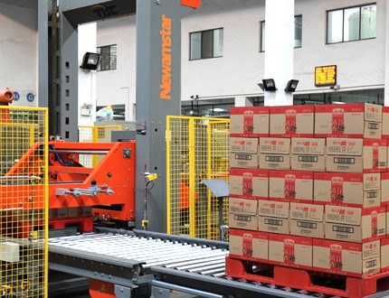 Mechanical Palletizer